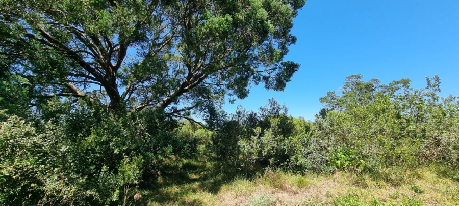 Bedroom Property for Sale in Knysna Rural Western Cape